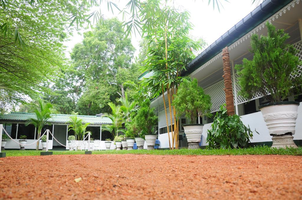 Levi'S Tourist - Anuradhapura Hotel Exterior foto